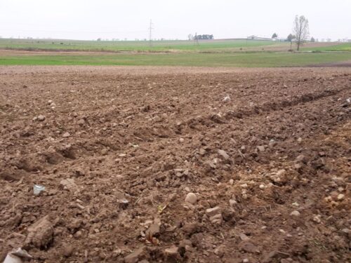 ziemia, grunty rolne, dzierżawa, stawki czynszu, KOWR, ustawa o kształtowaniu ustroju rolnego