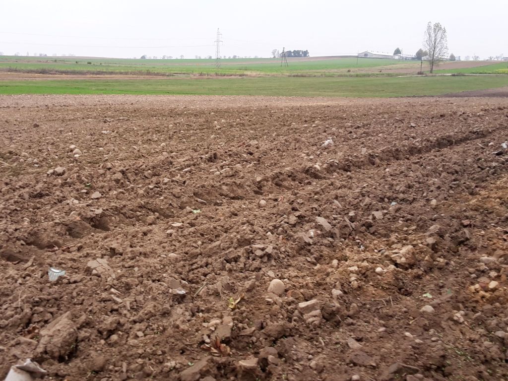 ziemia, grunty rolne, dzierżawa, stawki czynszu, KOWR, ustawa o kształtowaniu ustroju rolnego