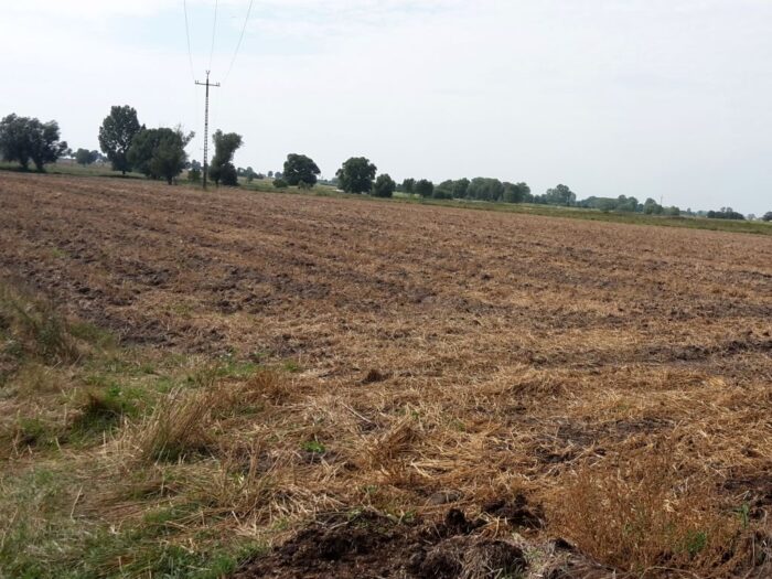 nawożenie, NIK, raport, gleba, uprawa, badanie gleby