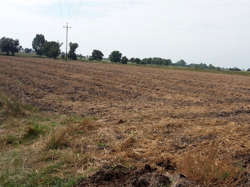 nawożenie, NIK, raport, gleba, uprawa, badanie gleby