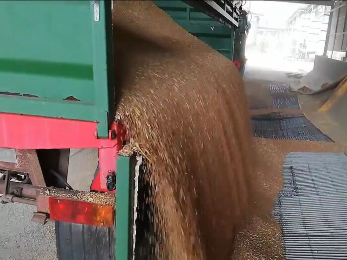 niewypłacalność w rolnictwie, pandemia koronawirusa, przedsiębiorstwa agro-rolnicze