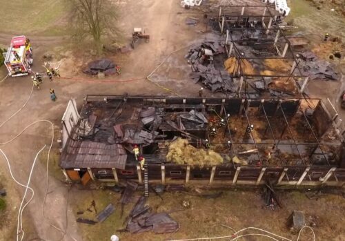 pożary w gospodarstwach, Damian Żukrowski, Perzyny, Zacisze