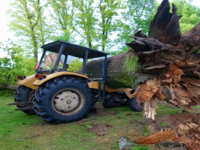kowr, krajowy ośrodek wsparcia rolnictwa, erolnik, portal interntowy, pszczelarstwo