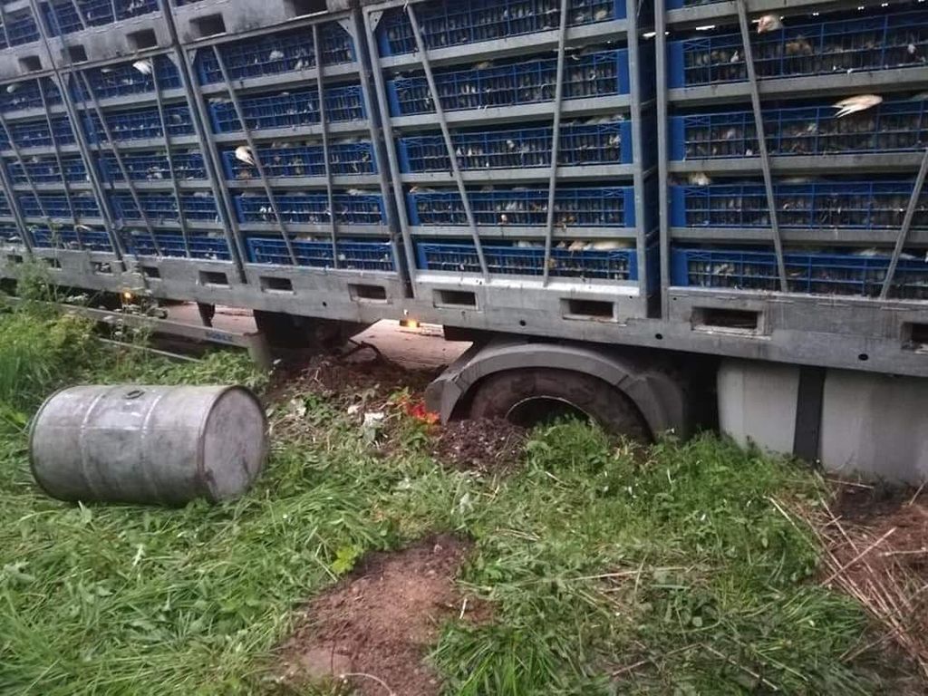 zezwoleń na przewozy drogowe w transporcie międzynarodowym, transport, eksport