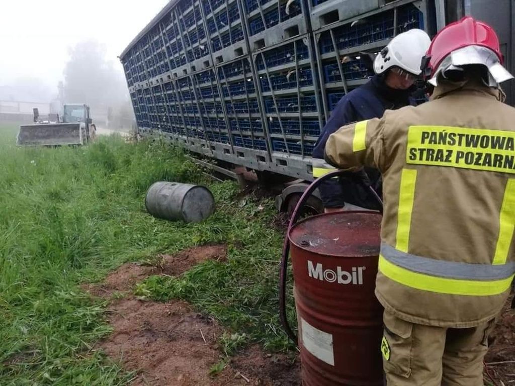 zezwoleń na przewozy drogowe w transporcie międzynarodowym, transport, eksport
