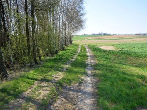 drogi dojazdowe do pól, wielkopolska, ewidencja gruntów, mała retencja