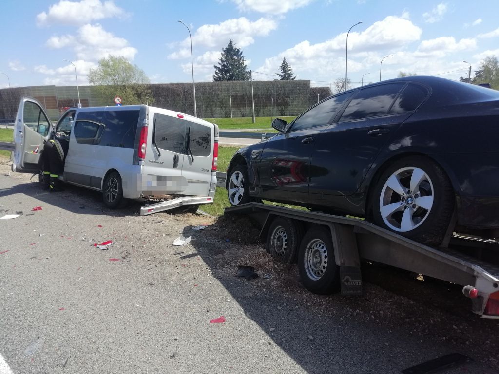 kaczki na S8, droga ekspresowa S8, Niegów, powiat wyszkowski, Damian Wroczyński