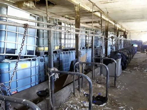 Galominek, powiat płoński, WIOŚ Warszawa, mauzery w gospodarstwie