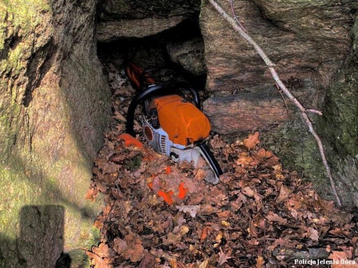 zakład usług leśnych, ścinka drewna, powiat karkonowski, kradzież pił spalinowych, Wojciech Jabłoński