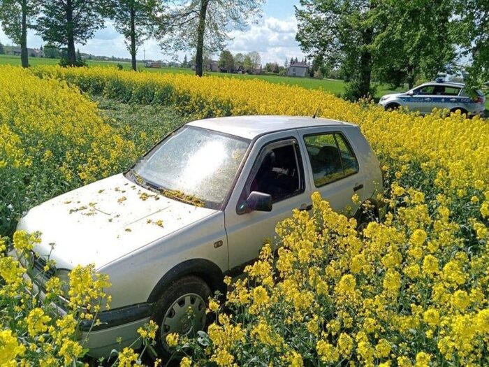 Juliusz Młodecki, Polska Koalicja Biopaliw i Pasz Białkowych, biopaliwa, Adam Stępień