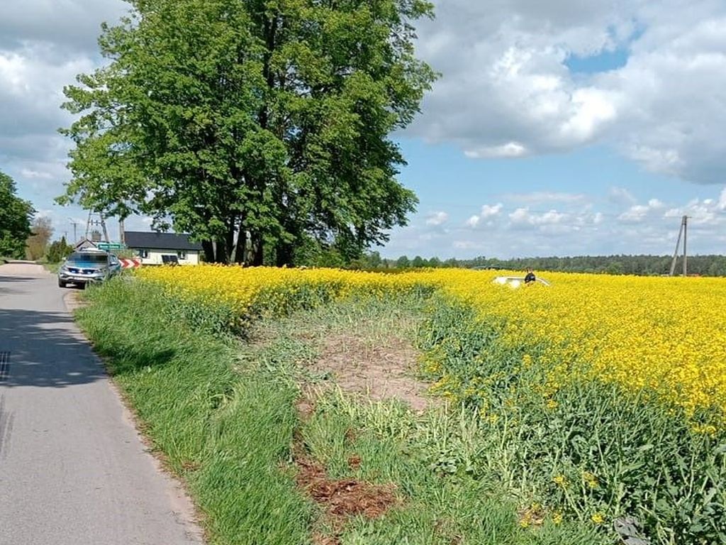 Juliusz Młodecki, Polska Koalicja Biopaliw i Pasz Białkowych, biopaliwa, Adam Stępień