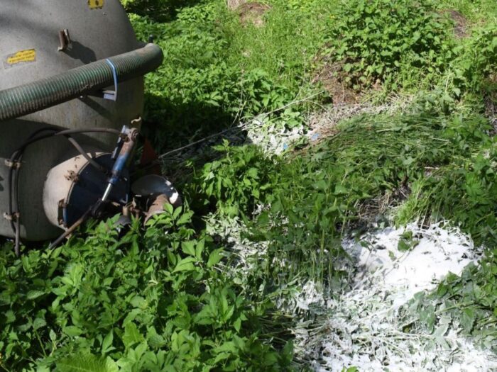 Zgliczyn Kościelny, powiat mławski,  Anna Pawłowska,