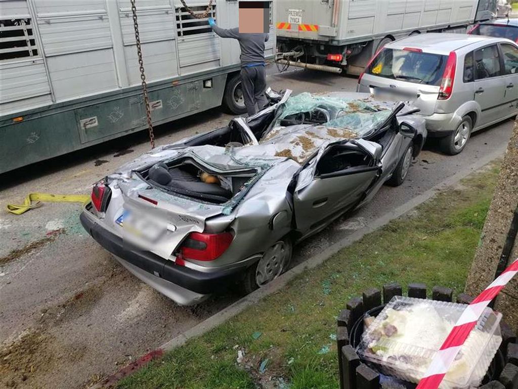 Instytut Ekonomiki Rolnictwa i Gospodarki Żywnościowej, poglowie świń w polsce, trzoda chlewna