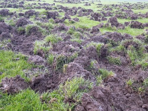 odszkodowania za szkody łowieckie, Prawo łowieckie, Edward Siarka