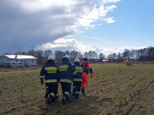 wypadki w rolnictwie, krus, upadek osób, choroby zawodowe rolników