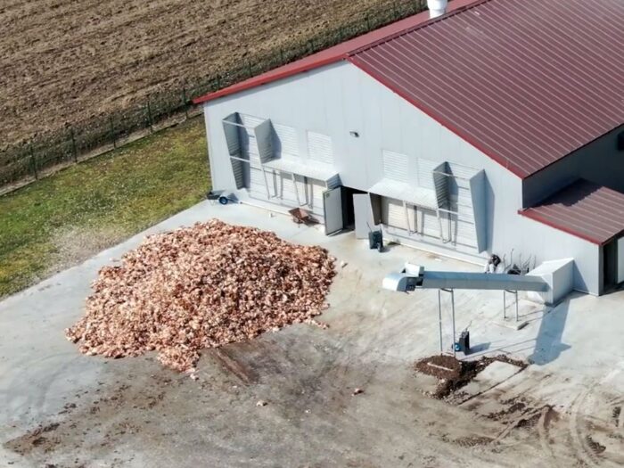 produkcja drobiu, rynek mięsa, komisja europejska