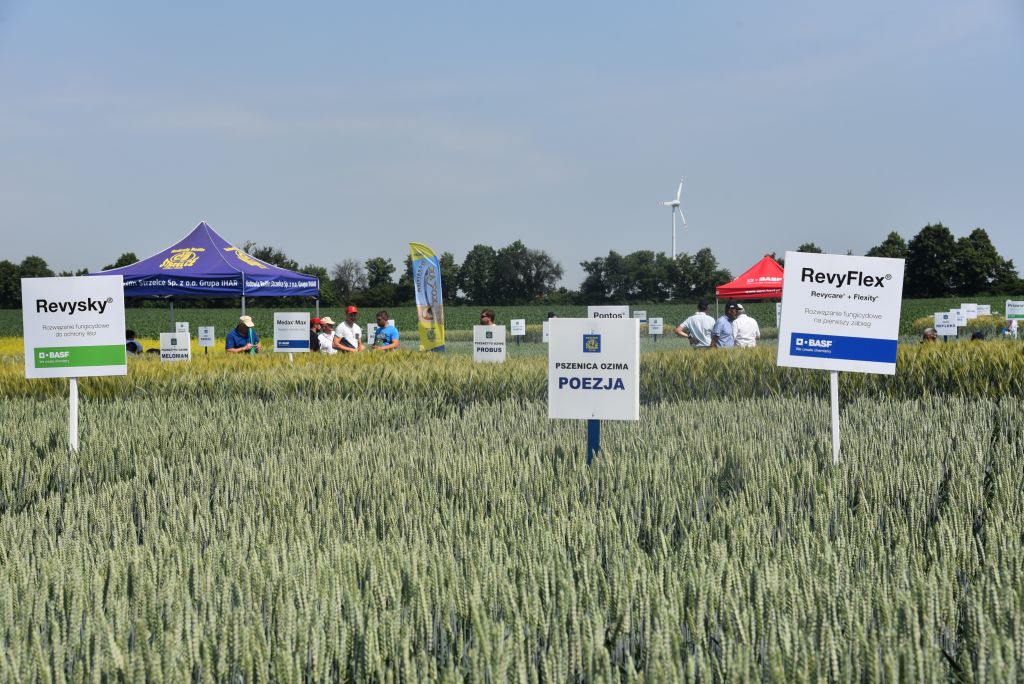 HR Strzelce, nowe odmiany HR Strzelce, Kepler, wirus żółtaczki rzepy, Bohun, Rambo, Impresja, BASF