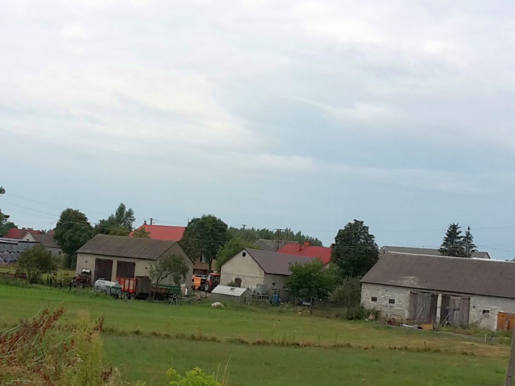 pomoc "kowidowa" dla rolników, PROW 2014-2020, Ryszard bartosik, wsparcie dla rolnictwa