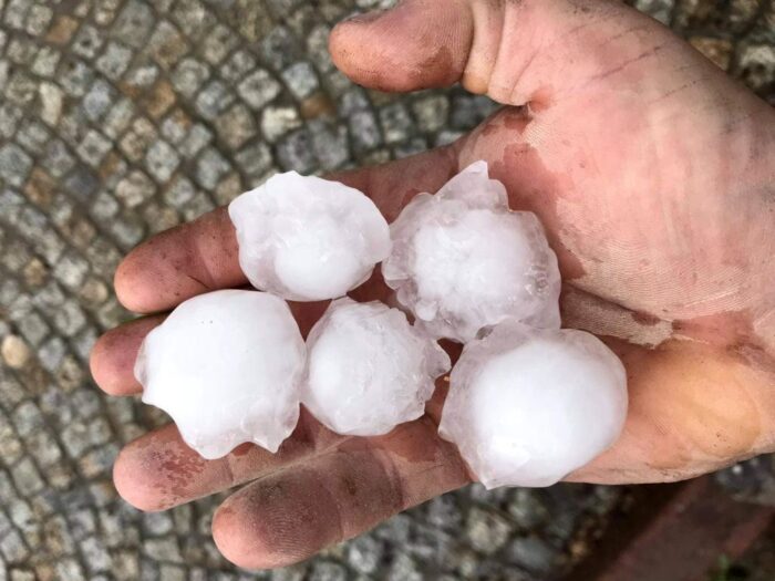 gradobicie, zniszczone uprawy, agrounia, ubezpieczenie upraw