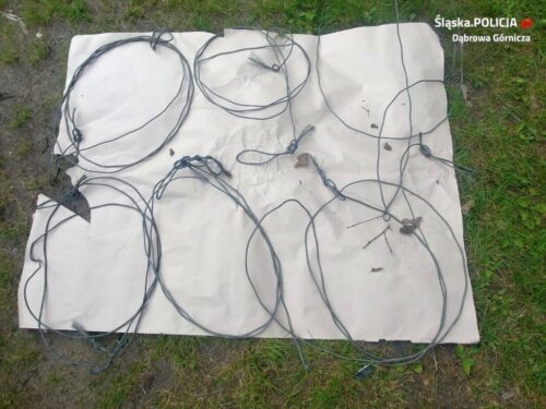 KMP Dąbrowa Górnicza, Straż Leśna Nadleśnictwa Siewierz, prawo łowieckie, kłusownictwo