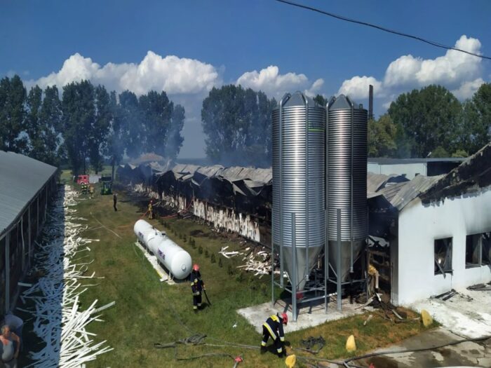 pożar kurnika, Wierzbnica , powiat nowosolski, Sebastian Olczyk