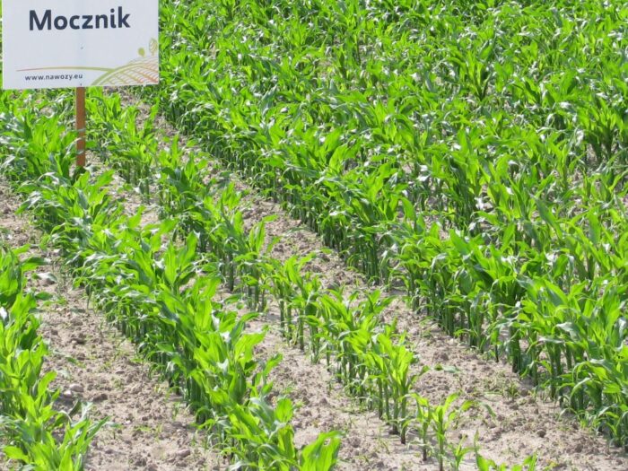 Ustawa o nawozach i nawożeniu, mocznik w formie granulowanej, PZPRZ, Stanisław Kacperczyk,