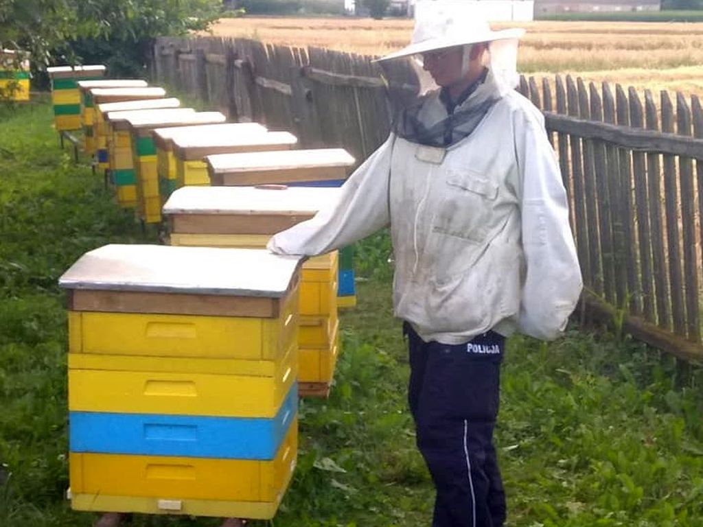 pszczoły, ule, zatrucie pszczół, pszczelarz