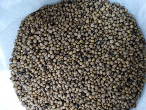 dopłaty do materiału siewnego, zboża, rośliny strączkowe, ziemniaki