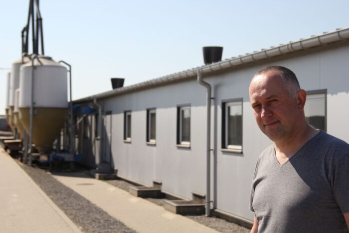 Maciej Szudrowicz, prosięta, warchlaki, tuczniki, lochy, prosięta na sprzedaż, mleko dla prosiąt, hodowca świń, ASF