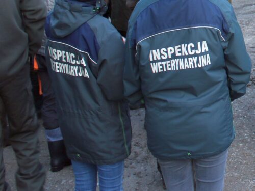 owiur, zsckr w goladkowie, eliminacje szkolne