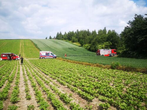 wypadek przy wycince drzew, Janówka Wschodnia, powiat zamojski, Siemierz