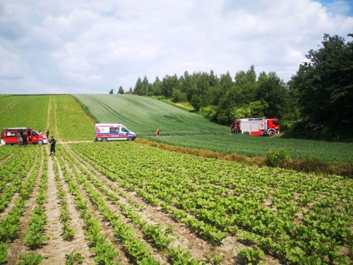 wypadek przy wycince drzew, Janówka Wschodnia, powiat zamojski, Siemierz