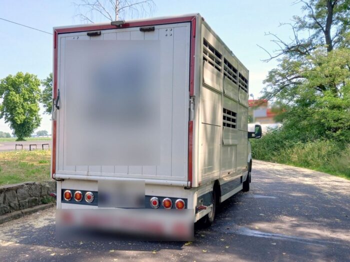 transport bydła, kontrola wagowa w Topólce, WITD w Poznaniu