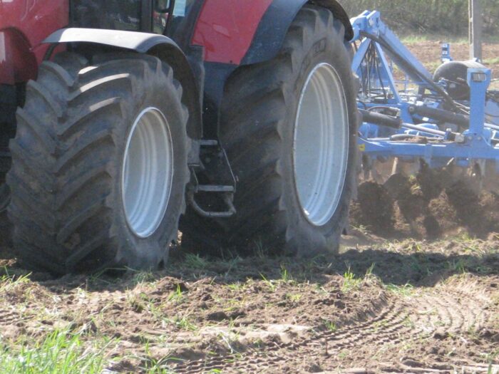 wypaki na polu, Masłowo, powiat kielecki, Małgorzata Perkowska-Kiepas