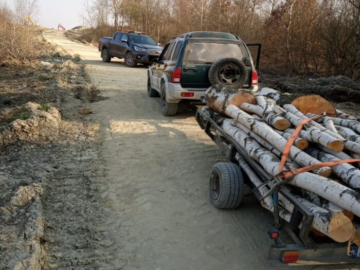 wyręb i kradzież drewna, gmina Platerówka, Justyna Bujakiewicz-Rodzeń, KPP Lubań