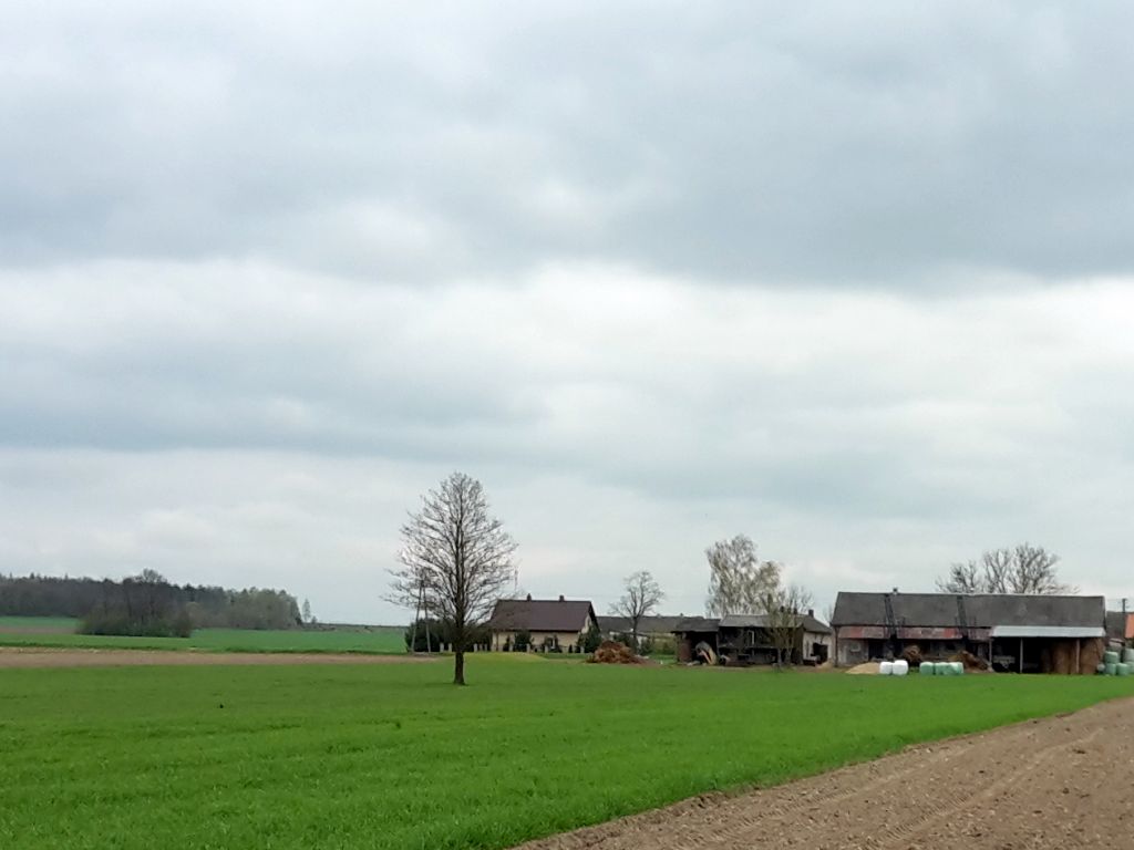 gospodarstwa rolne, powierzchnia użytków rolnych