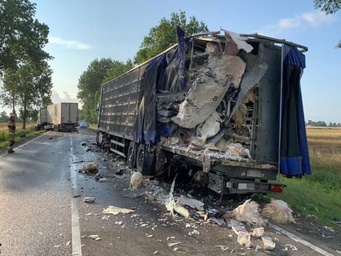 transport drobiu, przewóz indyków, Gnojewo, powiat malborski