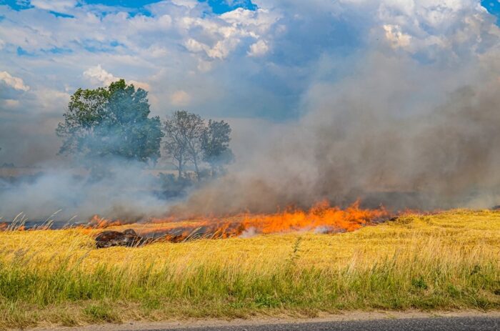 pożar, pole, zboże, słoma, straż pożarna