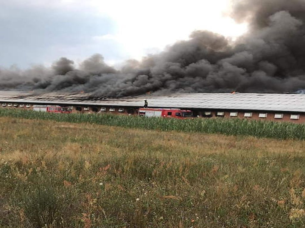 pożar kurnika, Zofibór, KP PSP Łuków