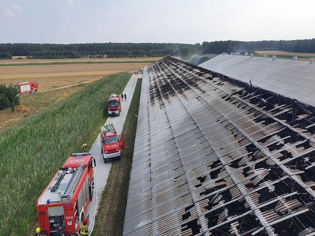pożar kurnika, Zofibór, KP PSP Łuków