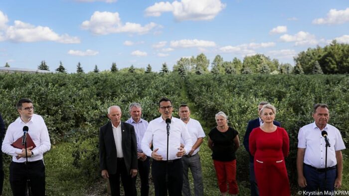 mateusz morawiecki, ministerstwo rozwoju, rząd pis