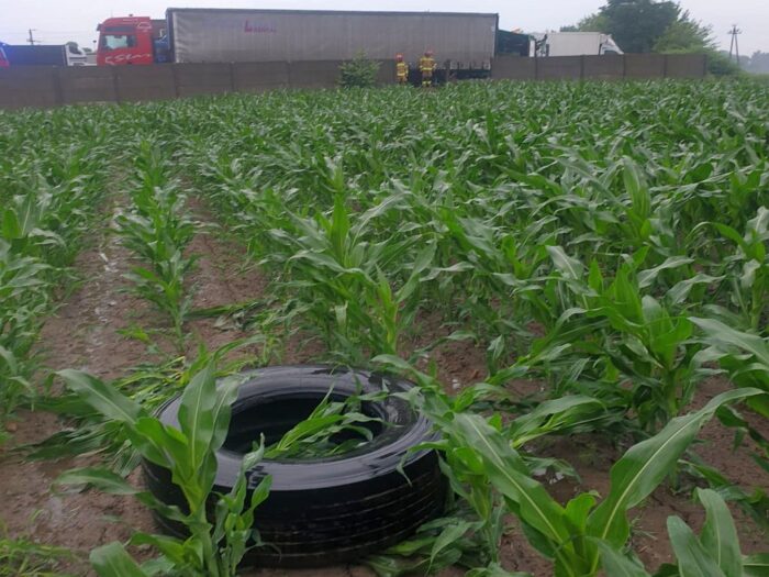 opony w polu kukurydzy, Andrzej Borowiak, Kalisz
