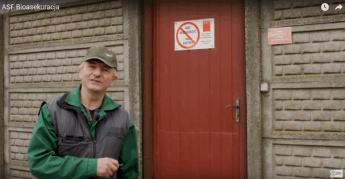 Mirosław Welz, Krzysztof Niemczuk, Janusz Wojtczak, asf, bioasekuracja, zasady bioasekuracji, wirus ASF, trzoda chlewna