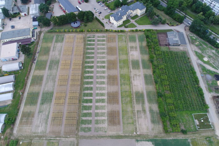 Stacja Doświadczalna Skierniewice, poletka, pole