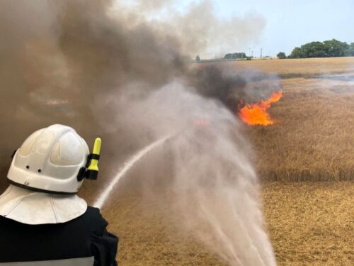pożar zboża, kombajn, KP PSP Włodawa, jęczmień ozimy