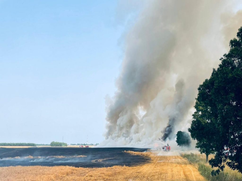 pożar zboża, kombajn, KP PSP Włodawa, jęczmień ozimy