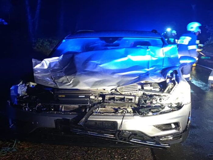 krowa na drodze, Wydmusy, powiat ostrołęcki, Tomasz Żerański