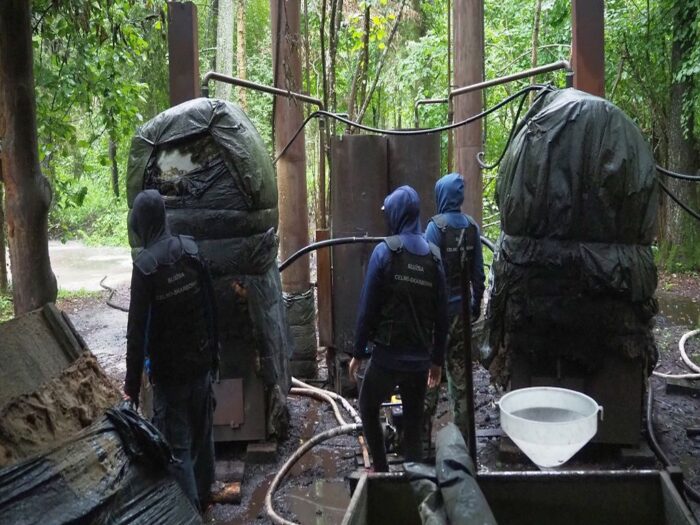 bimbrownia, kas, las