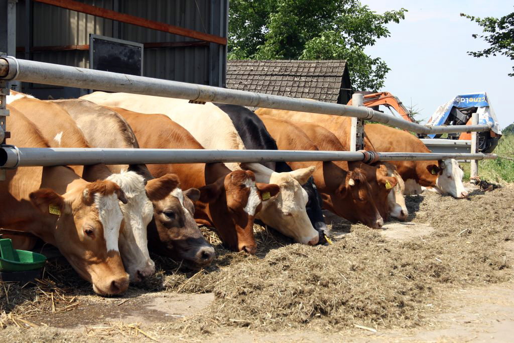 Ustawa o Inspekcji Weterynaryjnej, Senat, książka leczenia zwierząt, ubój w gospodarstwach