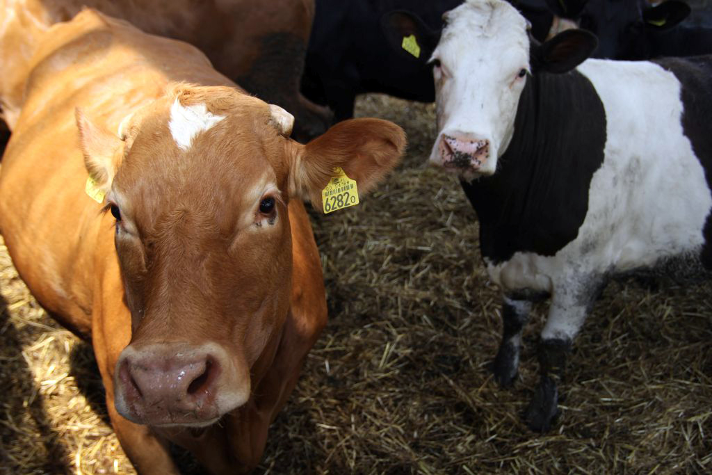 egzekucja komornicza, Andrzej Duda, Kodeks postępowania cywilnego, zadlużenie gospodarstw